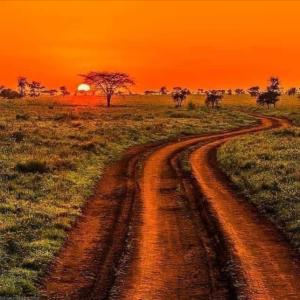 African Sunset