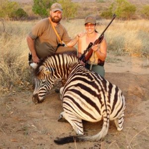 Zebra Hunting South Africa