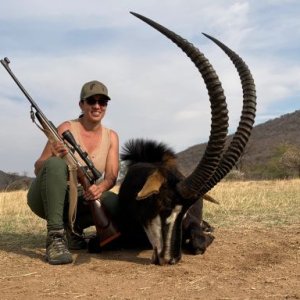 Sable Hunting South Africa