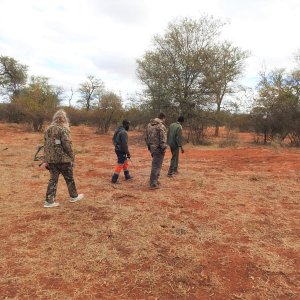 Tracking Game Botswana