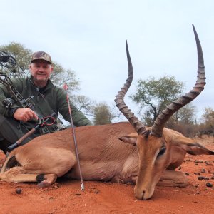 Impala Bow Hunting Botswana