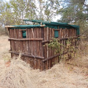 Bow Hunting Blind Botswana