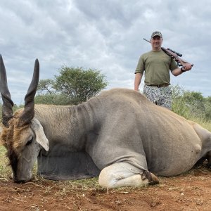 Eland Hunting Limpopo South Africa