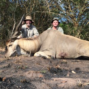 Eland Hunting