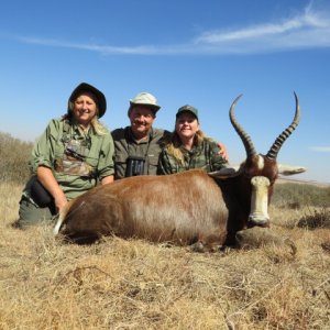 Blesbok Hunting South Africa