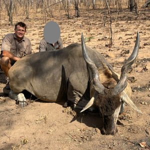 Eland Hunt Mozambique