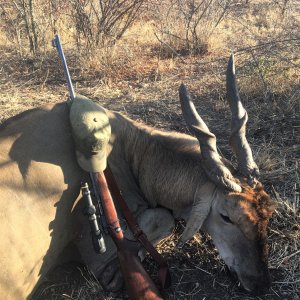 Eland Hunting