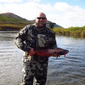 Sockeye Salmon Fishing Alaska