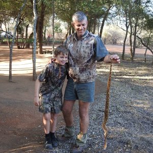 Puff Adder Botswana