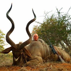 Southern Greater Kudu Hunt South Africa