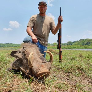 Warthog Hunting Central African Republic C.A.R