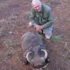 Warthog Hunting Central African Republic C.A.R
