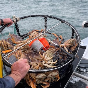 Crab Fishing San Francisco