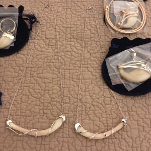 Diamond & Lion Claw Necklaces