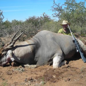 Eland Hunt Limpopo South Africa