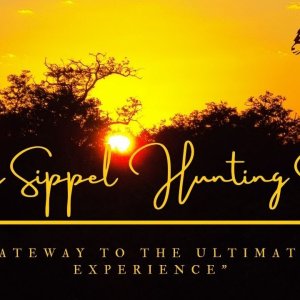 BAYLY SIPPEL SAFARIS Your gateway to the ultimate safari experience