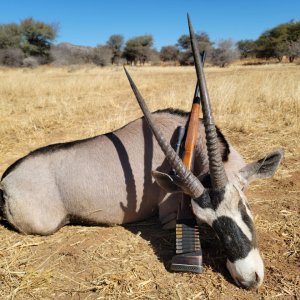 Gemsbok Hunt Namibia