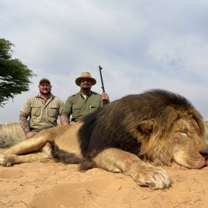 Lion Hunting Limpopo South Africa