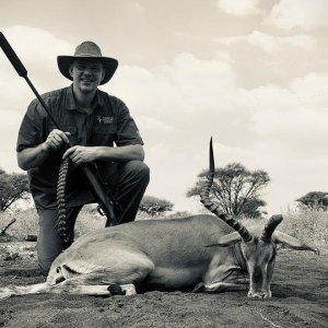 Unique Impala Hunt South Africa