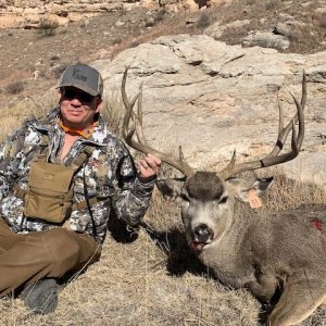 Mule Deer Hunting