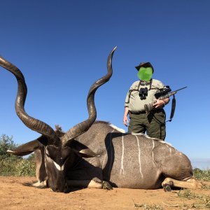 Kudu Hunting South Africa