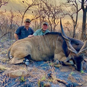 Lord Derby Eland Hunting Cameroon