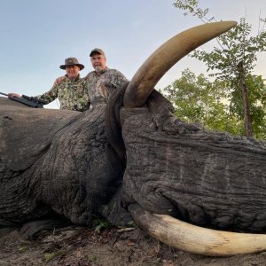 Elephant Hunting Zimbabwe