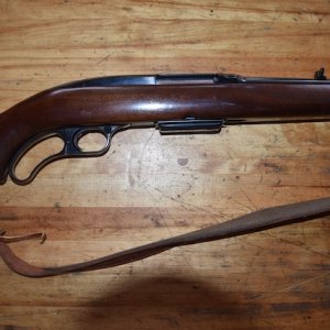 Winchester Model 88 Carbine .308