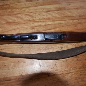 Winchester Model 88 Carbine .308