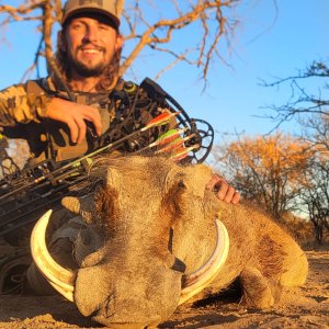 Warthog Bow Hunt South Africa