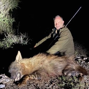 Brown Hyena Hunt