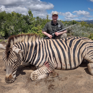 Zebra Hunting South Africa