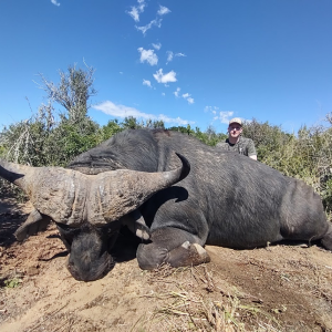 Buffalo Hunting South Africa