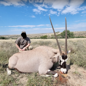 Gemsbok Hunting South Africa