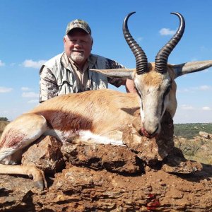 Springbok Hunting