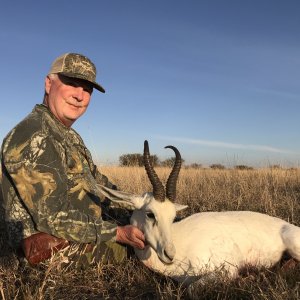 Springbok Hunting Free State Province South Africa