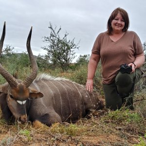 Nyala Hunt Karoo South Africa