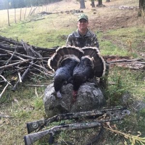 Turkey Hunting