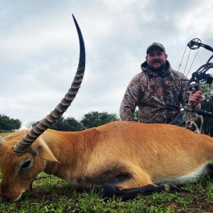 Lechwe Bow Hunt South Africa