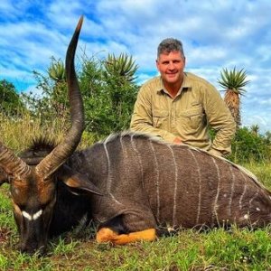 Nyala Hunting Kei River Reserve South Africa