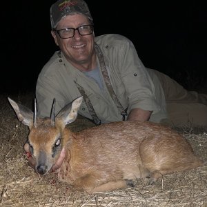 Duiker Hunt Karoo South Africa