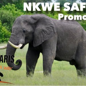 Nkwe Safaris The Botswana Way