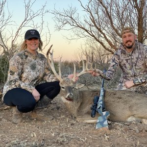 Whitetail Hunting Texas