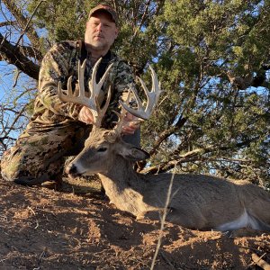 Whitetail Hunting Texas