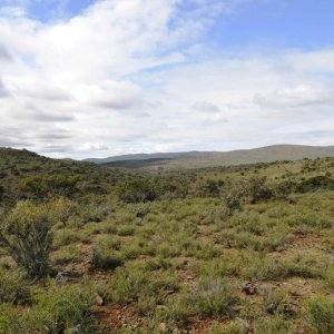 Karoo South Africa