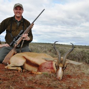 Springbok Karoo South Africa