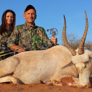 White Blesbok Bow Hunting South Africa