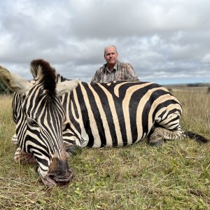 Zebra Hunting Mpumalanga South Africa