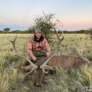 Red Stag Hunting Argentina