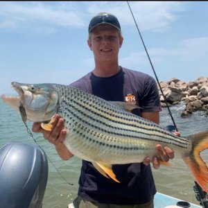 Tiger Fish Fishing